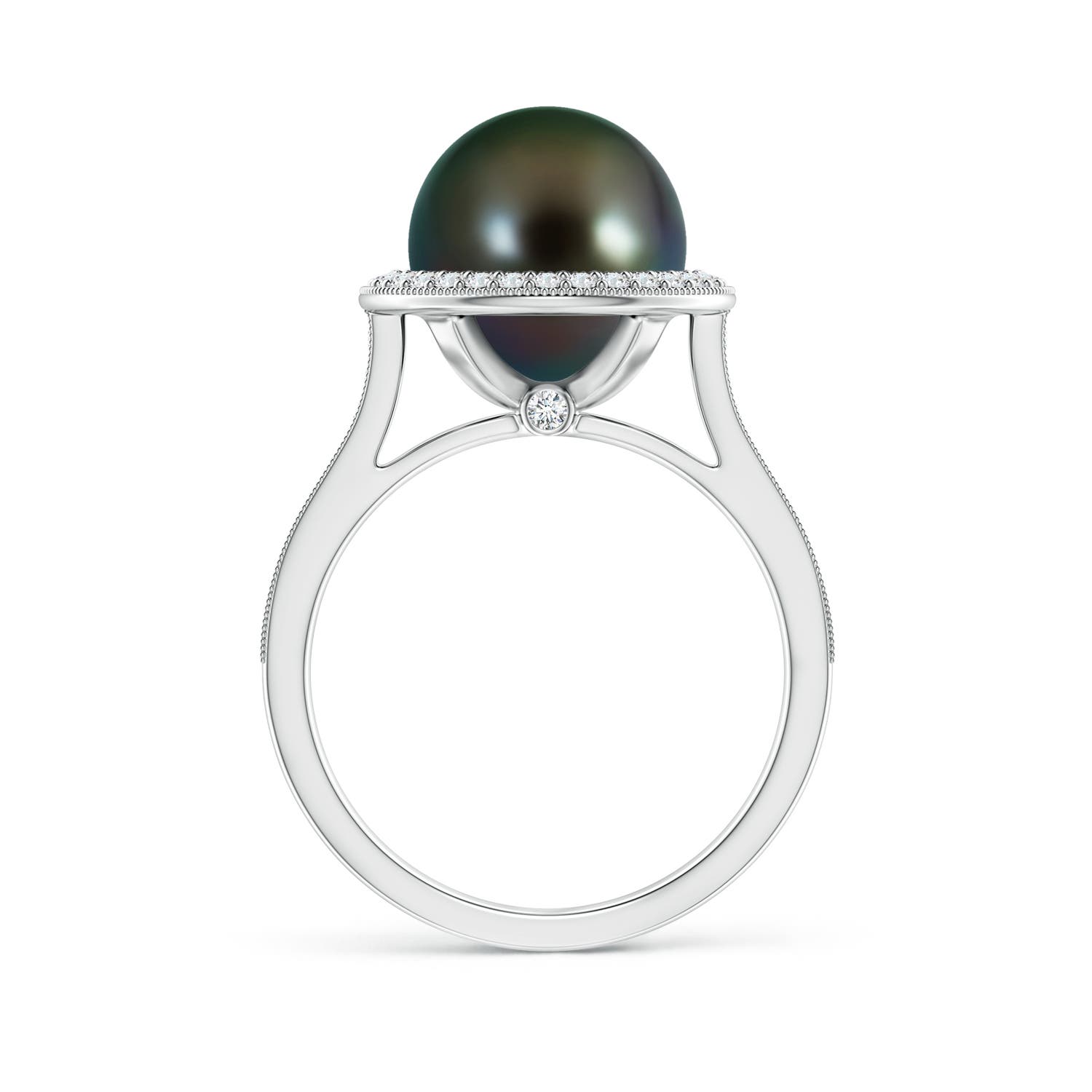 10mm AAAA Tahitian Pearl Halo Ring with Milgrain in White Gold
