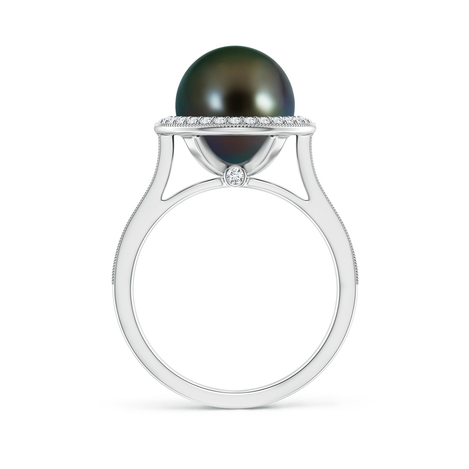 10mm AAAA Tahitian Pearl Halo Ring with Milgrain in White Gold side 1