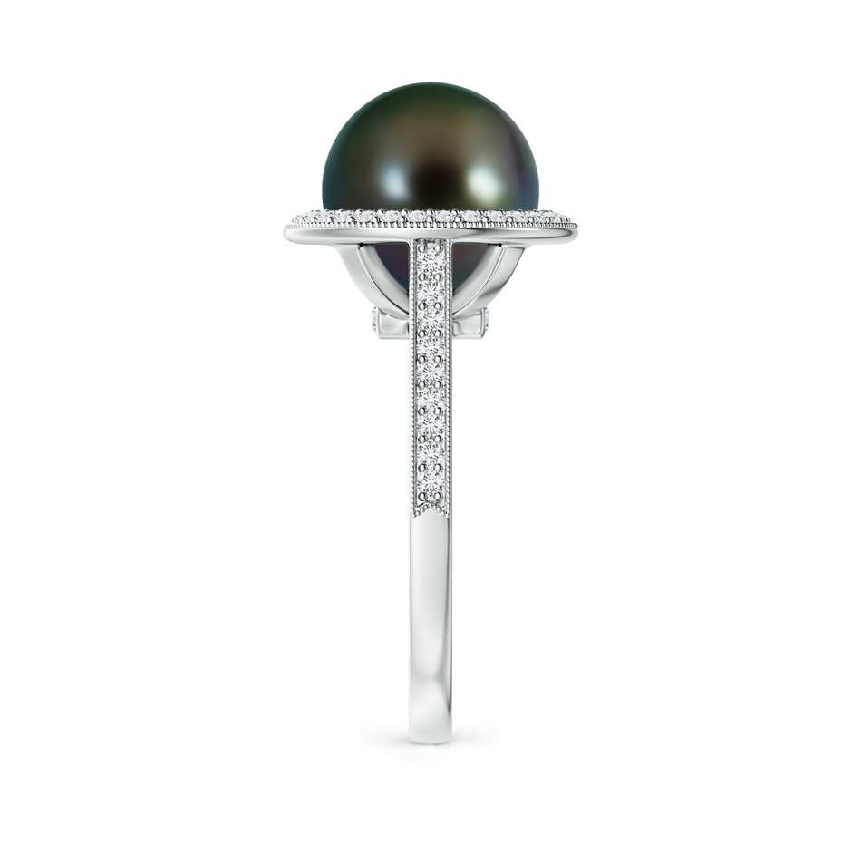 10mm AAAA Tahitian Pearl Halo Ring with Milgrain in White Gold side 2