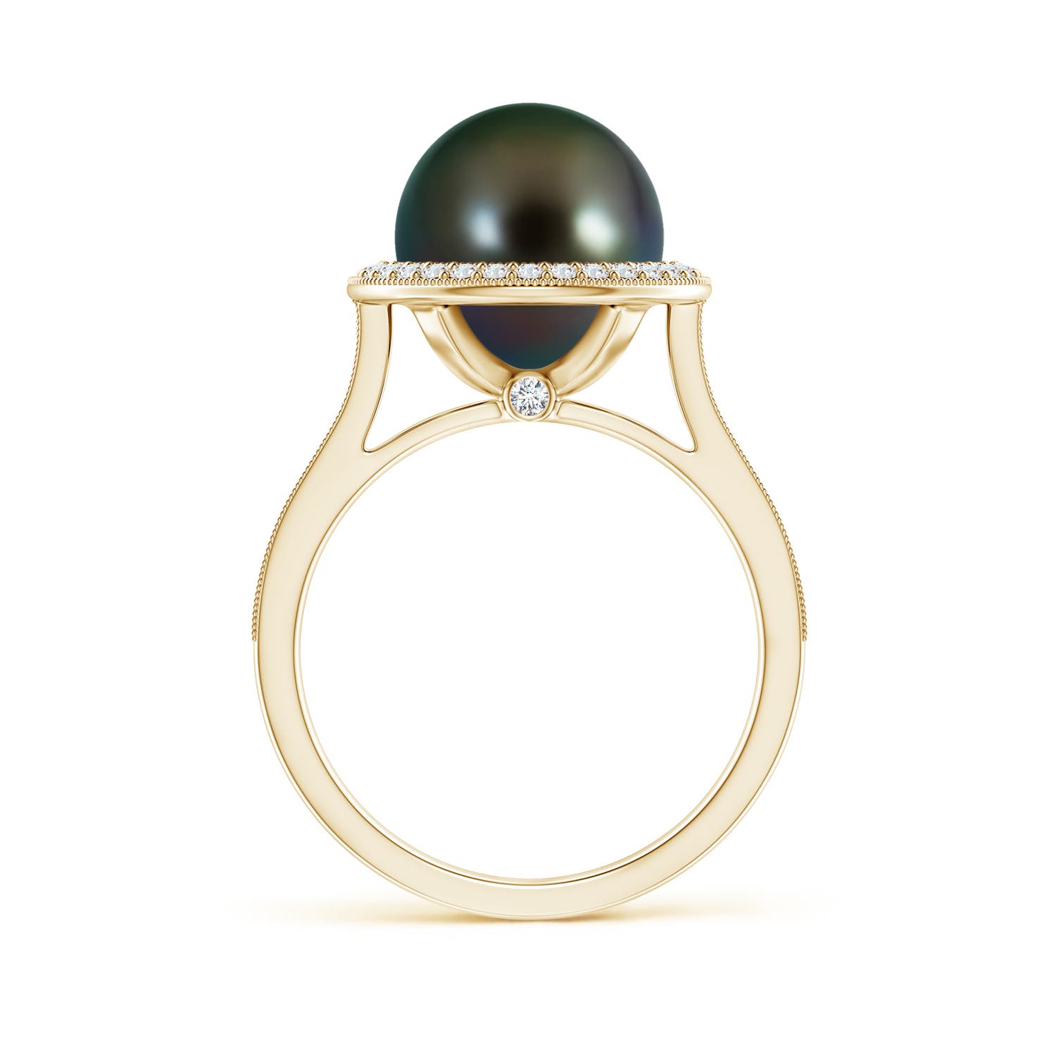 10mm AAAA Tahitian Pearl Halo Ring with Milgrain in Yellow Gold