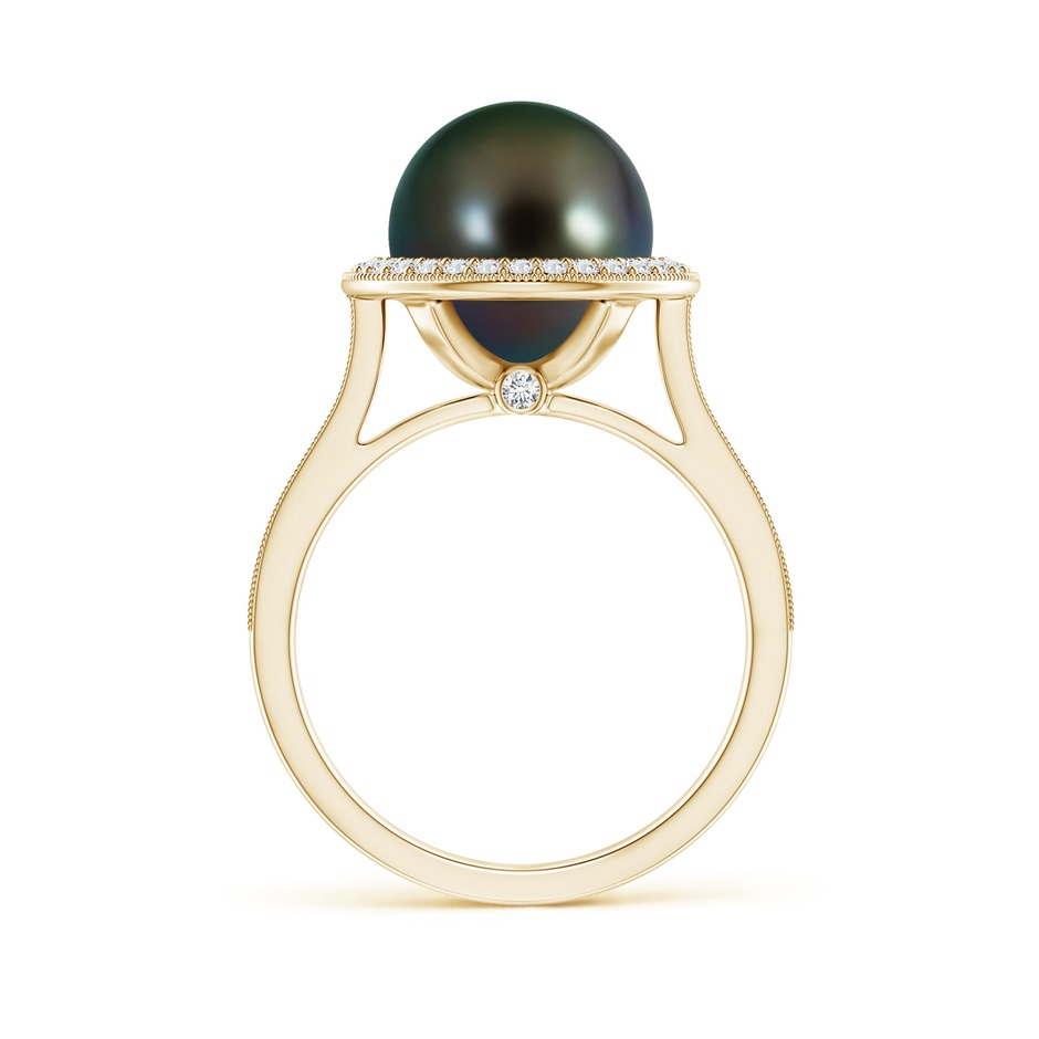 10mm AAAA Tahitian Pearl Halo Ring with Milgrain in Yellow Gold side 1