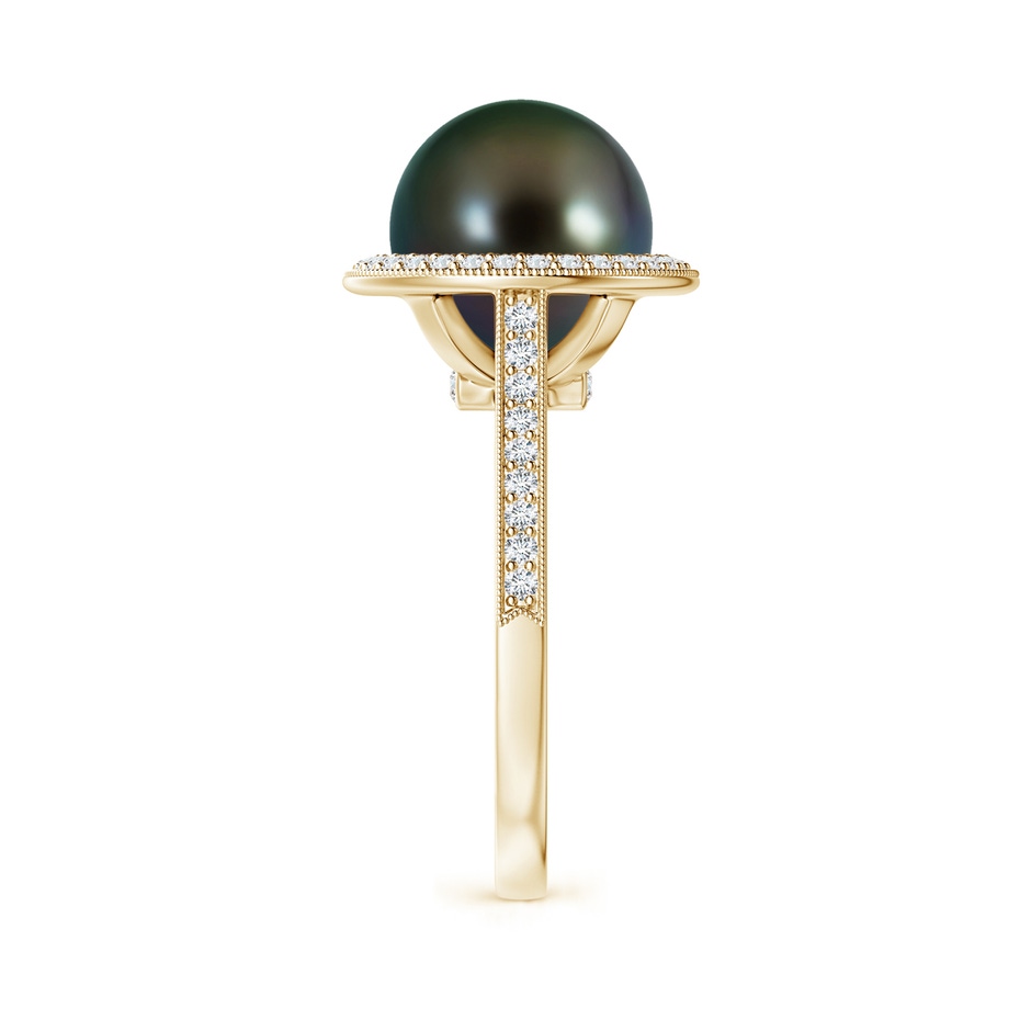 10mm AAAA Tahitian Pearl Halo Ring with Milgrain in Yellow Gold side 2