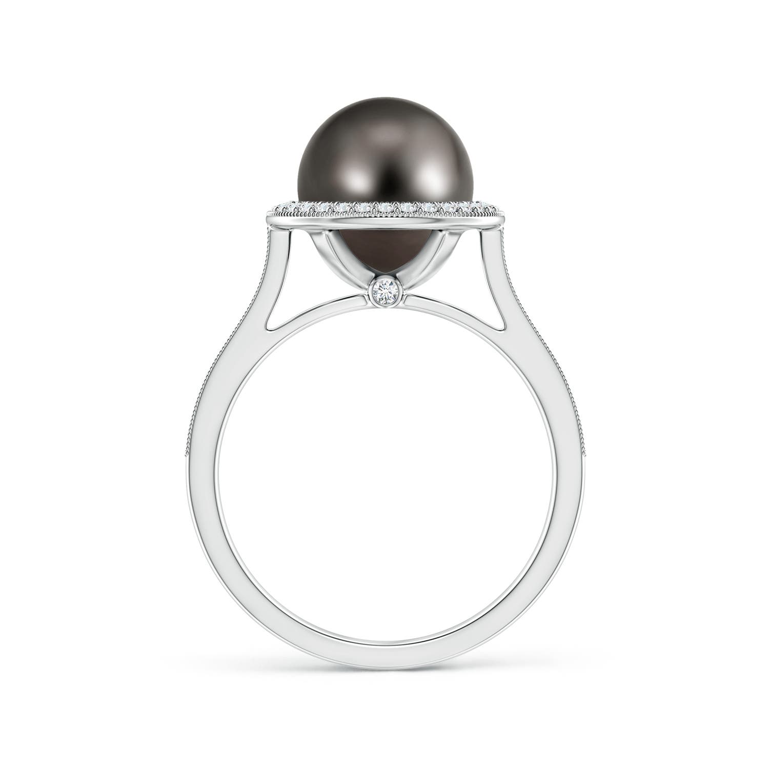 9mm AAA Tahitian Pearl Halo Ring with Milgrain in White Gold - side 2