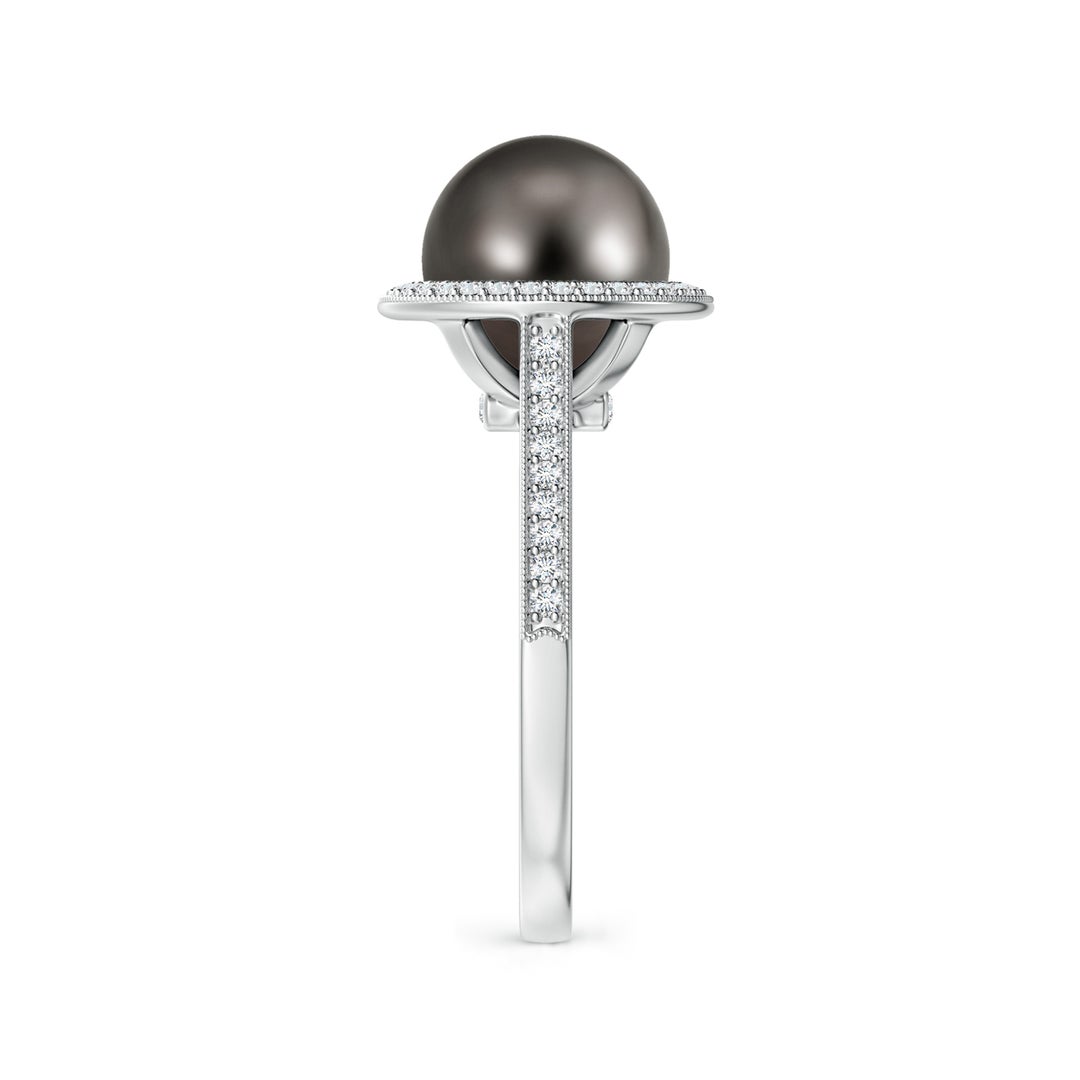 9mm AAA Tahitian Pearl Halo Ring with Milgrain in White Gold - side 3