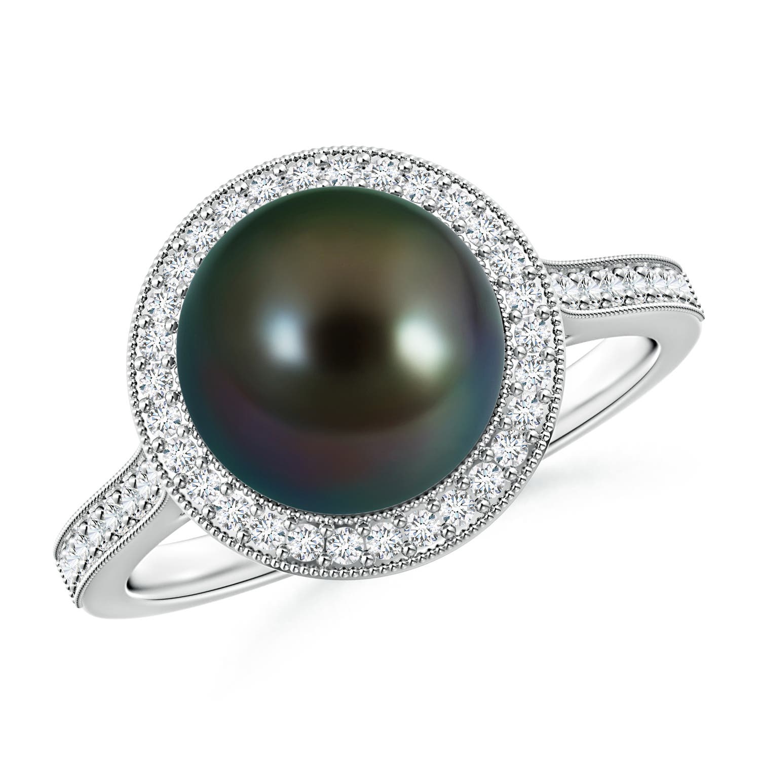 9mm AAAA Tahitian Pearl Halo Ring with Milgrain in White Gold