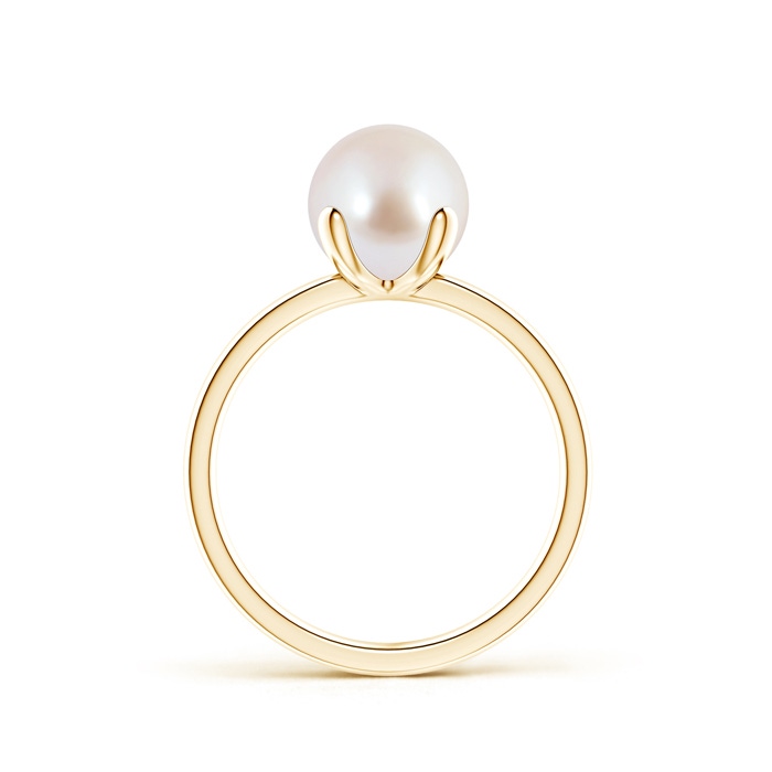 8mm AAA Classic Solitaire Japanese Akoya Pearl Ring in 9K Yellow Gold product image