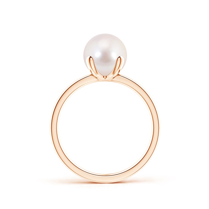 8mm AAAA Classic Solitaire Japanese Akoya Pearl Ring in Rose Gold product image