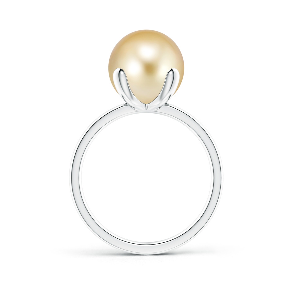 10mm AAAA Classic Solitaire Golden South Sea Pearl Ring in White Gold product image