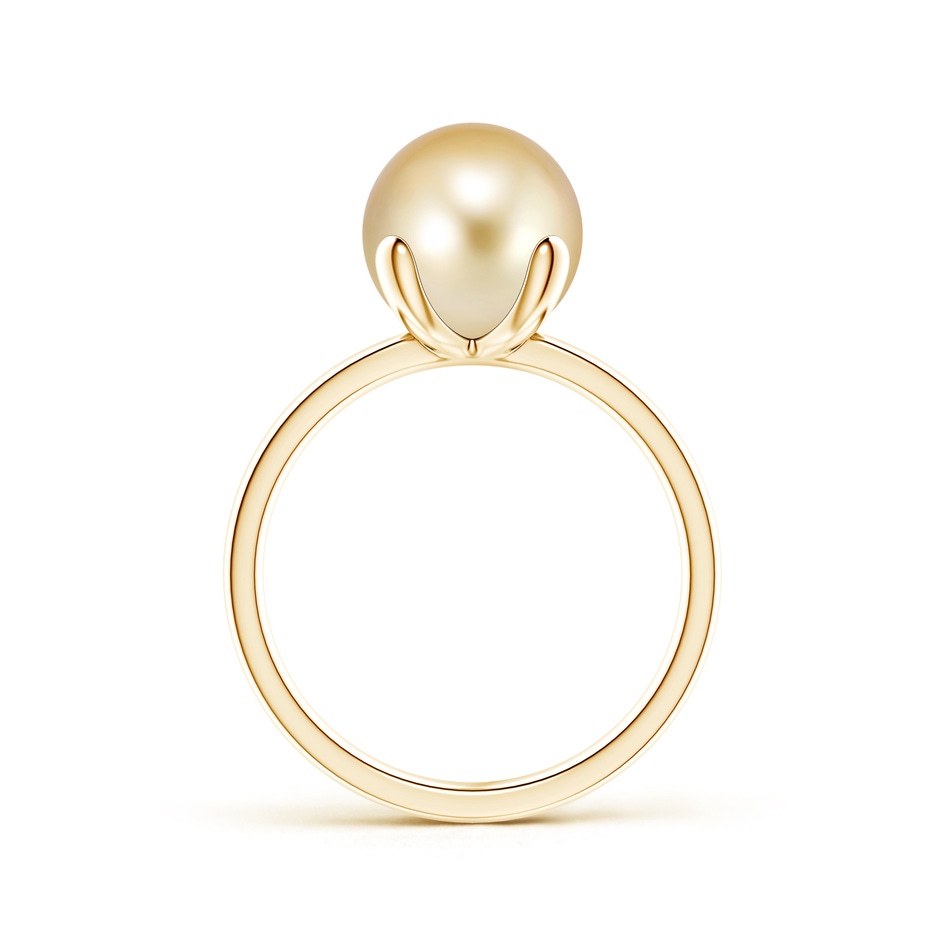 9mm AAAA Classic Solitaire Golden South Sea Pearl Ring in Yellow Gold product image