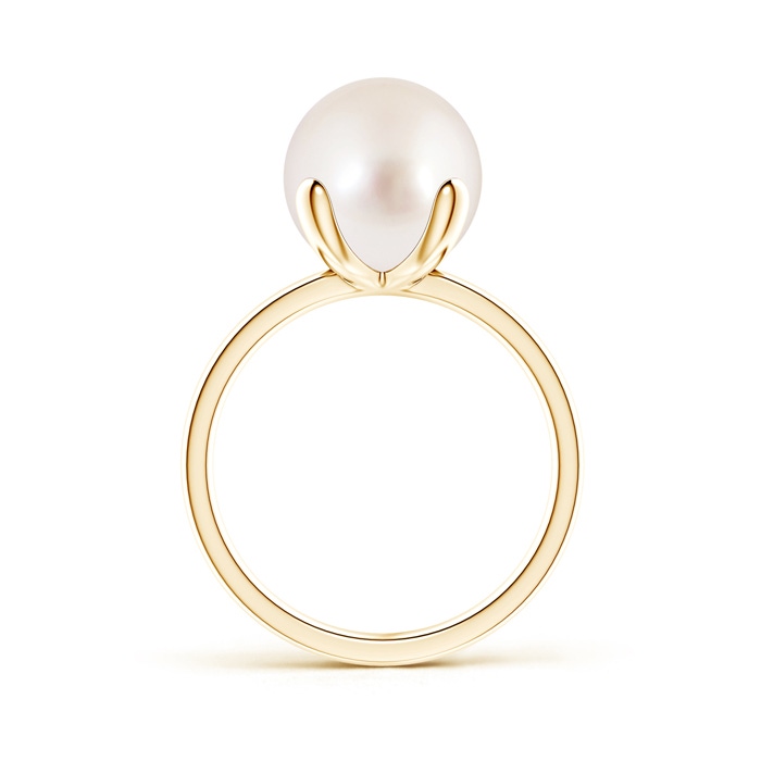 10mm AAAA Classic Solitaire South Sea Pearl Ring in 10K Yellow Gold product image