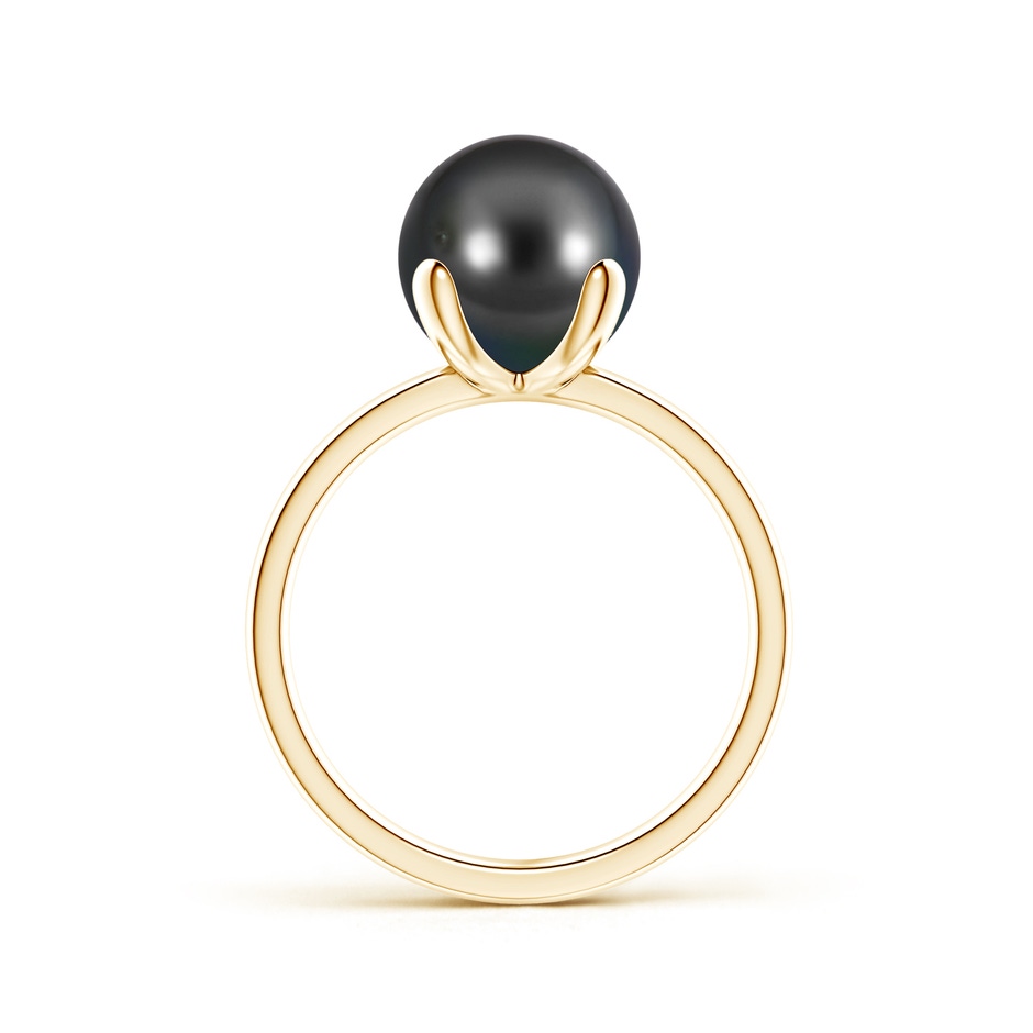 9mm AA Classic Solitaire Tahitian Pearl Ring in 9K Yellow Gold product image