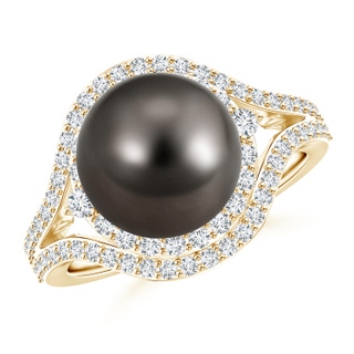 10mm AAA Tahitian Cultured Pearl Split Shank Ring with Double Halo in Yellow Gold