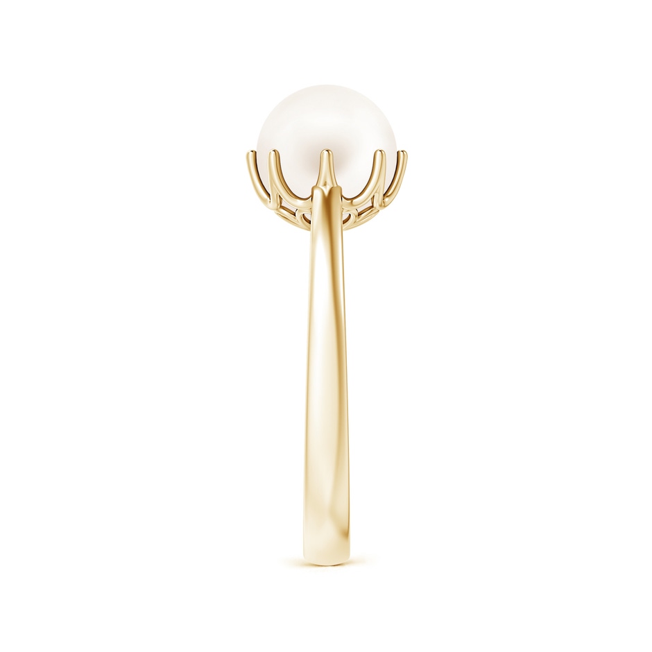 8mm AA Freshwater Pearl Solitaire Crown Ring in 9K Yellow Gold side-2