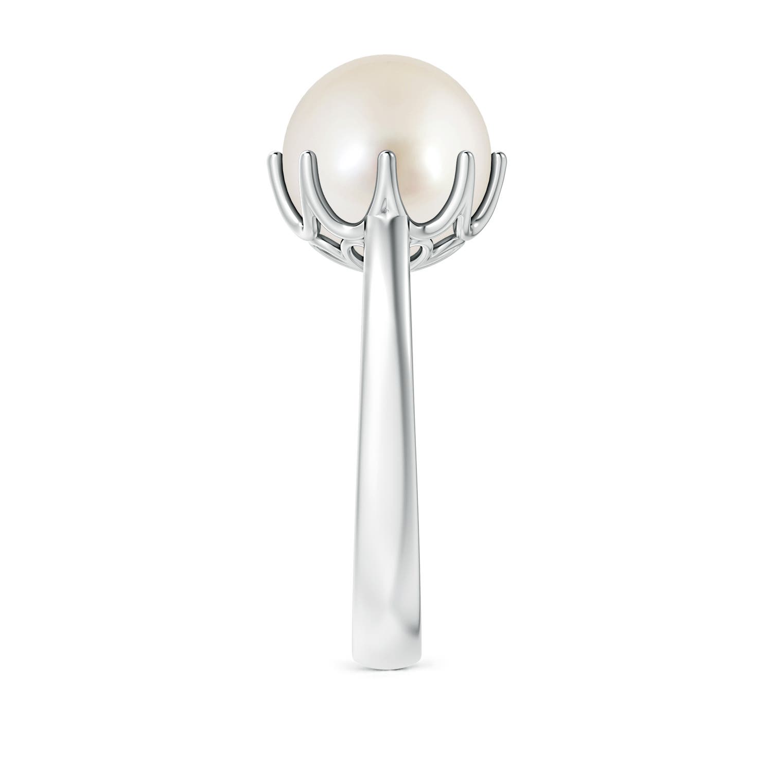 10mm AAAA South Sea Pearl Solitaire Crown Ring in White Gold - side 7