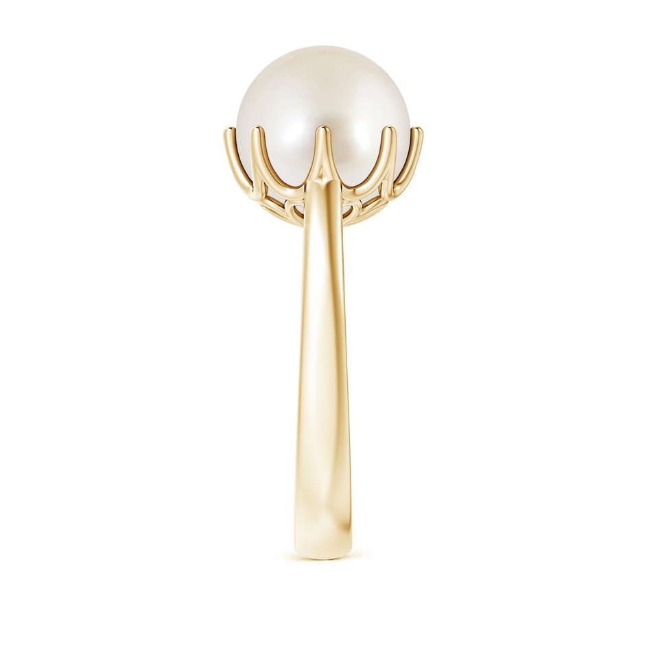 10mm AAAA South Sea Pearl Solitaire Crown Ring in Yellow Gold side-2