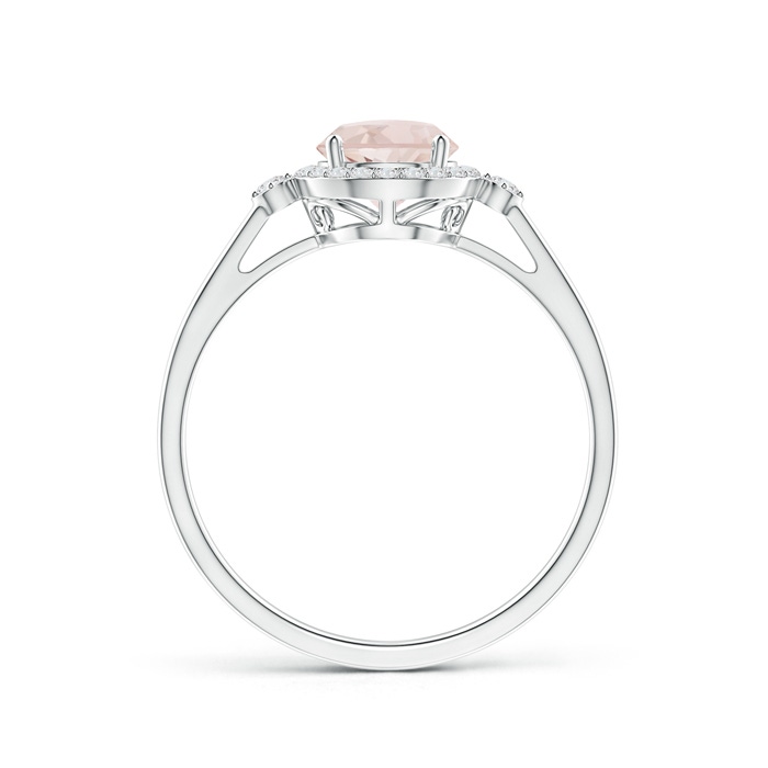 6mm A Classic Prong-Set Round Morganite and Diamond Halo Ring in P950 Platinum side-1