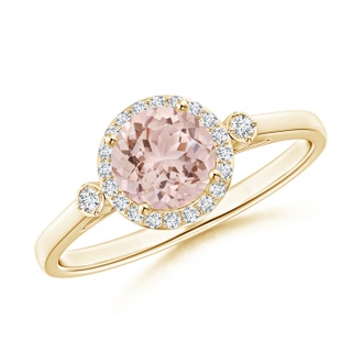 6mm AAA Classic Prong-Set Round Morganite and Diamond Halo Ring in Yellow Gold