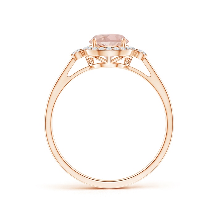 6mm AAAA Classic Prong-Set Round Morganite and Diamond Halo Ring in Rose Gold side-1