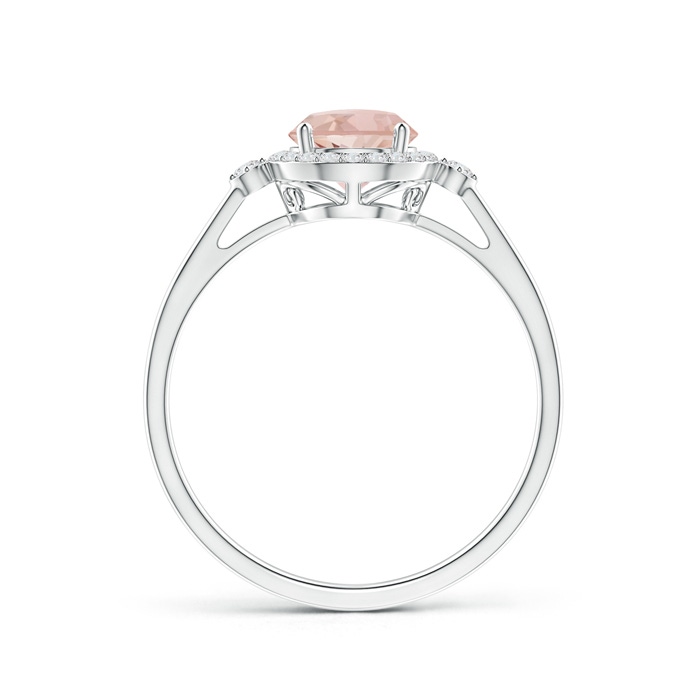6mm AAAA Classic Prong-Set Round Morganite and Diamond Halo Ring in White Gold side-1