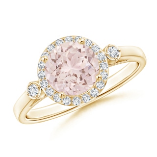 Round A Morganite