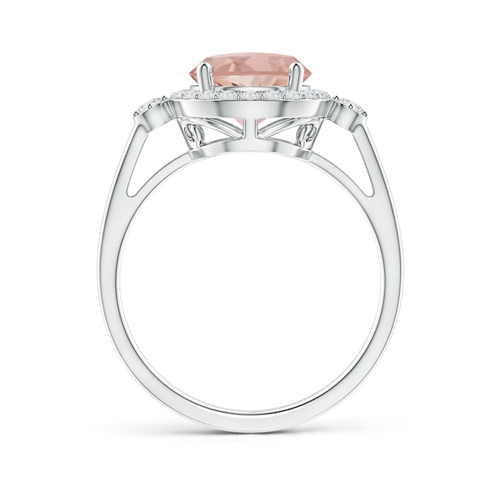 8mm AAAA Classic Prong-Set Round Morganite and Diamond Halo Ring in White Gold Side-1