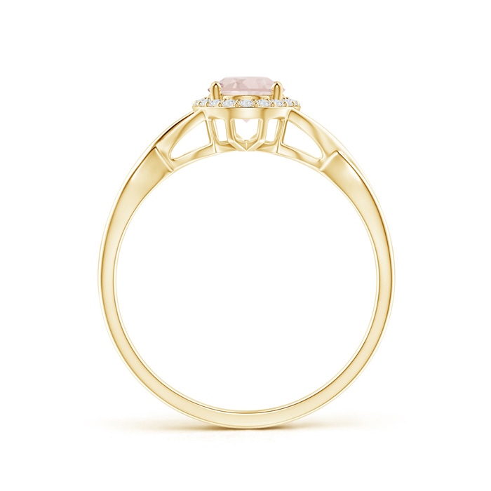 7x5mm A Oval Morganite Infinity Ring with Diamond Halo in Yellow Gold product image