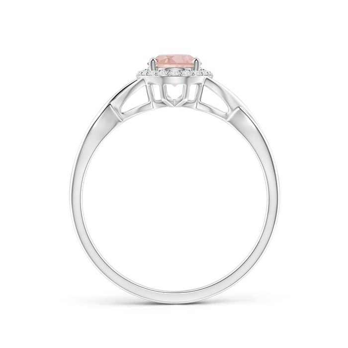 7x5mm AAA Oval Morganite Infinity Ring with Diamond Halo in White Gold product image