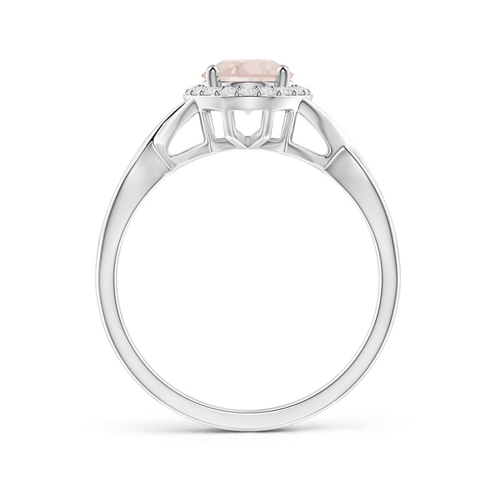 8x6mm A Oval Morganite Infinity Ring with Diamond Halo in White Gold product image
