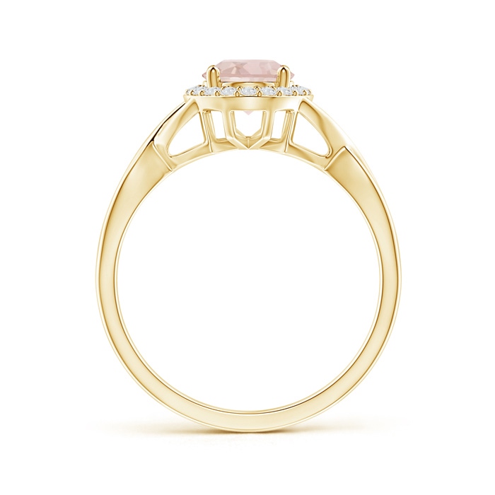 8x6mm AA Oval Morganite Infinity Ring with Diamond Halo in Yellow Gold product image