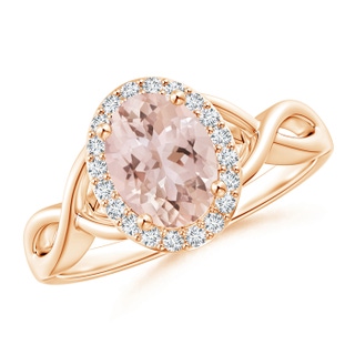 Oval AAA Morganite