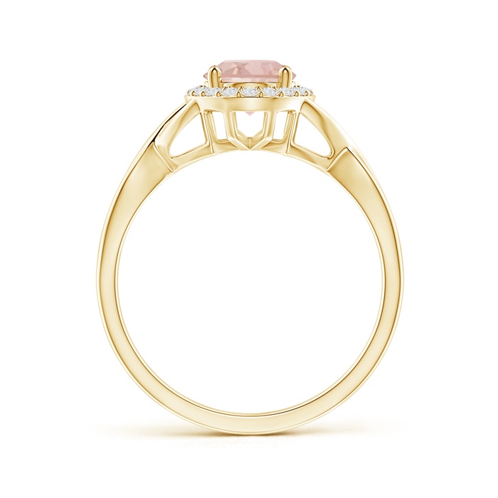 8x6mm AAAA Oval Morganite Infinity Ring with Diamond Halo in Yellow Gold product image