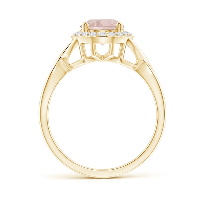 9x7mm A Oval Morganite Infinity Ring with Diamond Halo in Yellow Gold product image