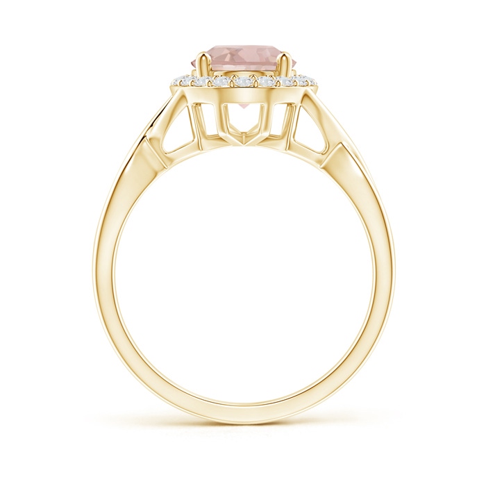 9x7mm AA Oval Morganite Infinity Ring with Diamond Halo in Yellow Gold product image
