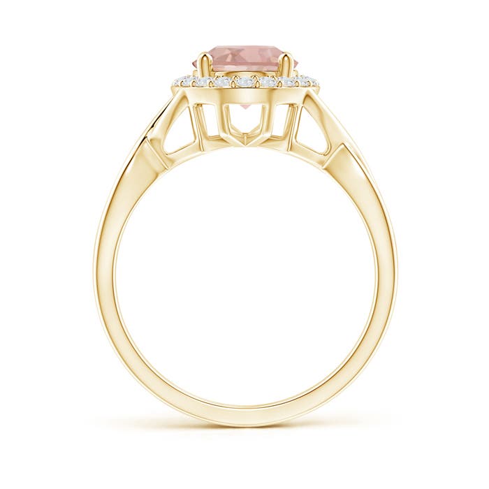 AAA - Morganite / 1.89 CT / 14 KT Yellow Gold