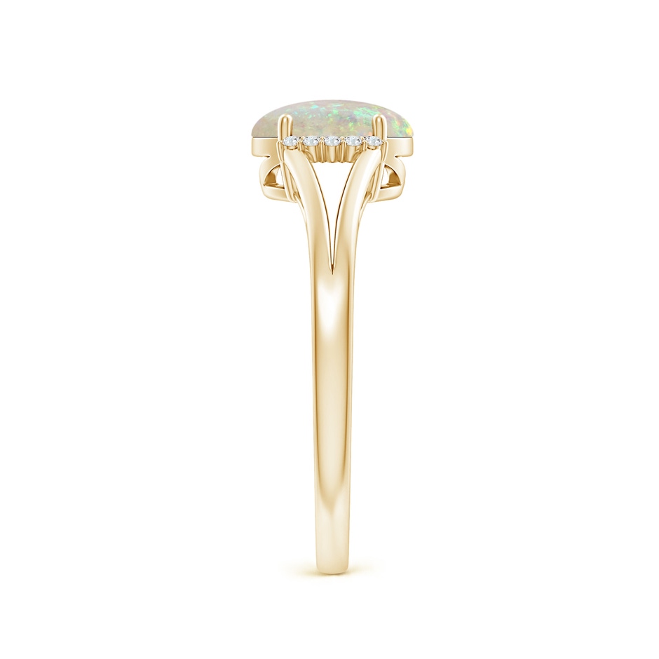 8x6mm AAA Oval Opal Split Shank Ring with Diamond Collar in 9K Yellow Gold side 2