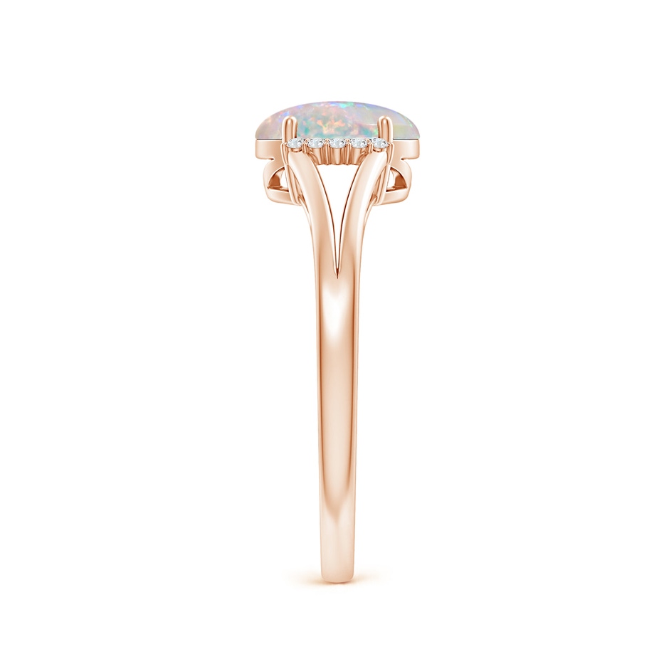 8x6mm AAAA Oval Opal Split Shank Ring with Diamond Collar in 9K Rose Gold side 2