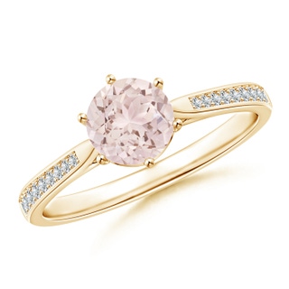 Round A Morganite