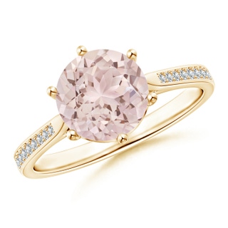 Round A Morganite