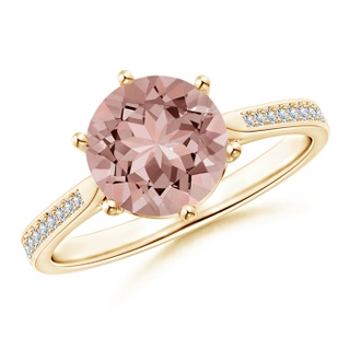 Round AAAA Morganite