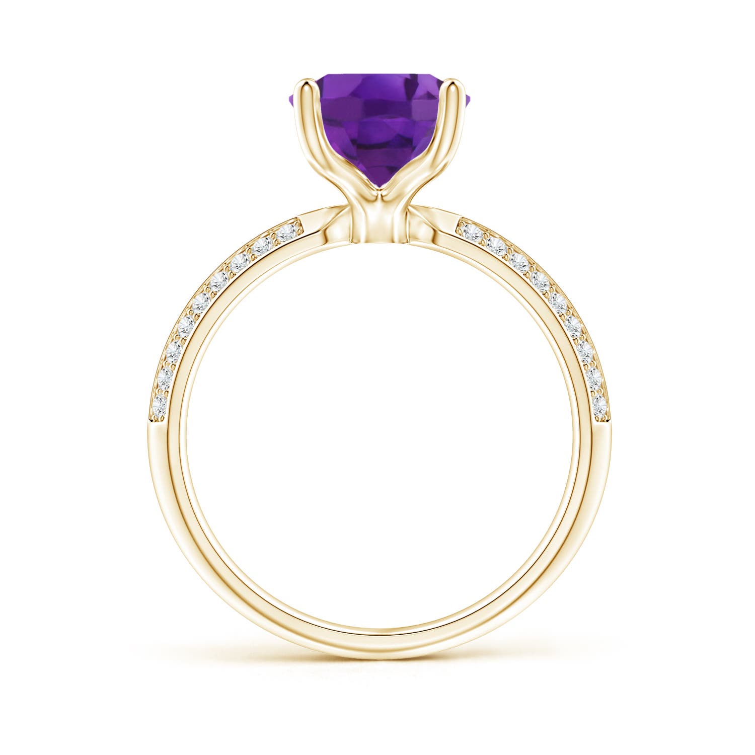 AAA - Amethyst / 2.5 CT / 14 KT Yellow Gold