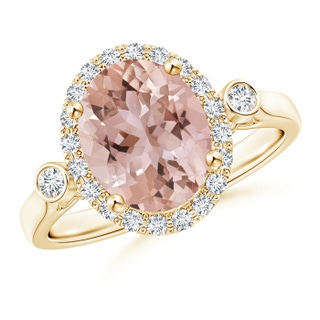 10x8mm AAA Classic Oval Morganite and Diamond Halo Ring with Bezel Accents in Yellow Gold