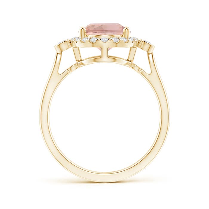 AAA - Morganite / 2.77 CT / 14 KT Yellow Gold