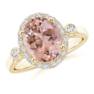 10x8mm AAAA Classic Oval Morganite and Diamond Halo Ring with Bezel Accents in Yellow Gold