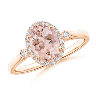8x6mm AAAA Classic Oval Morganite and Diamond Halo Ring with Bezel Accents in 9K Rose Gold