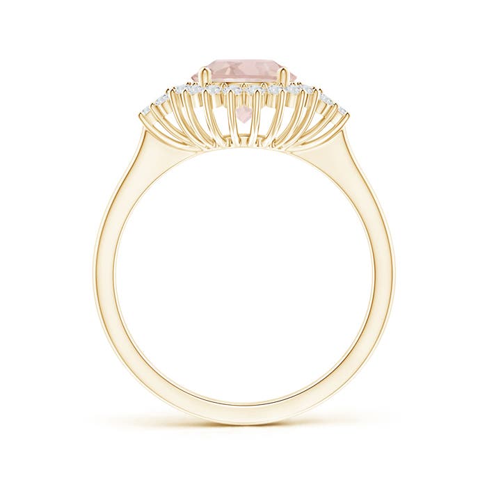 AA - Morganite / 1.39 CT / 14 KT Yellow Gold