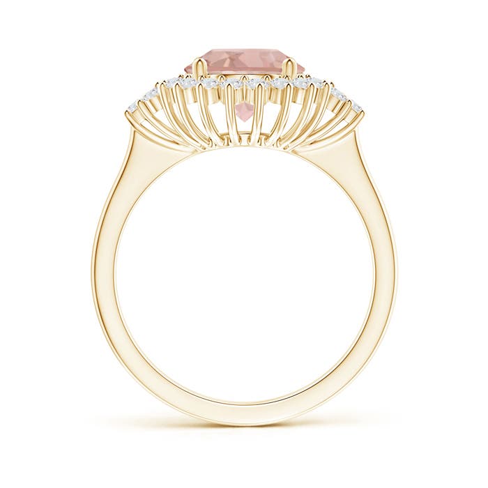 AAA - Morganite / 2.08 CT / 14 KT Yellow Gold