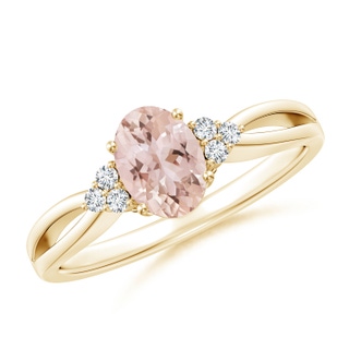 Oval AAA Morganite