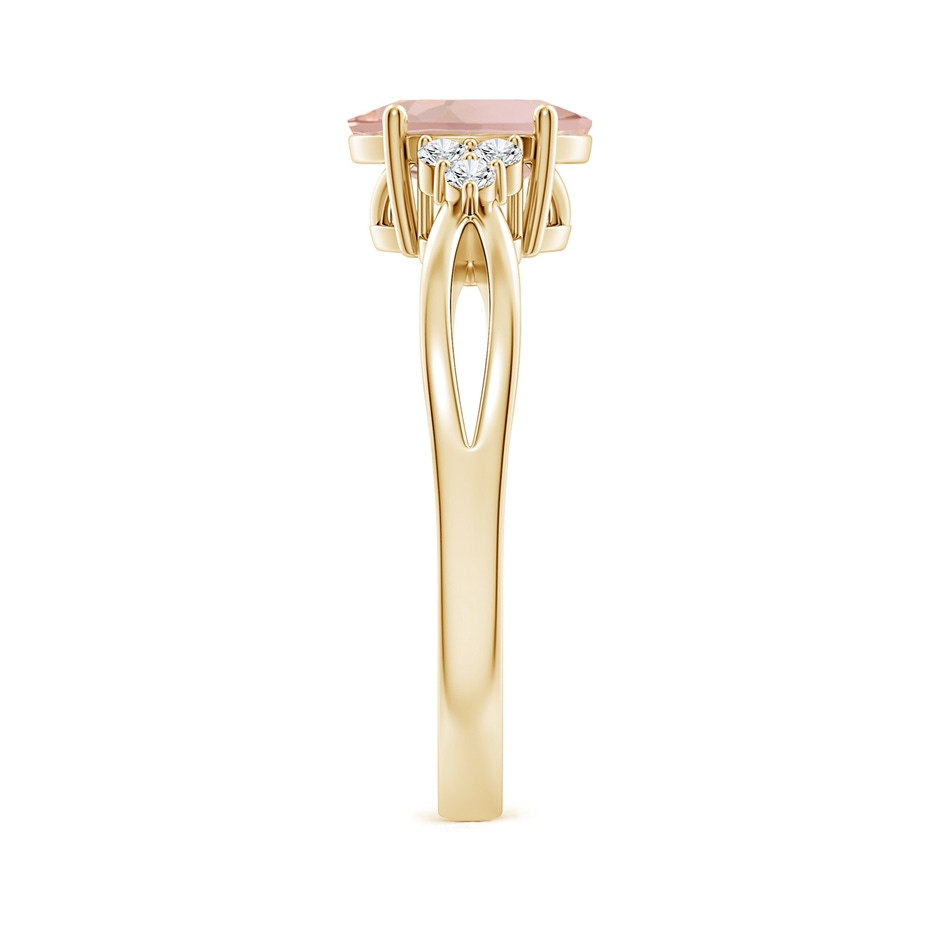 8x6mm AAA Solitaire Oval Morganite Split Shank Ring with Trio Diamonds in Yellow Gold side 299