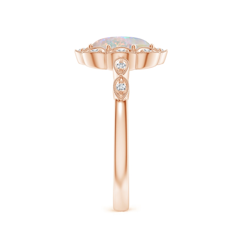 8x6mm AAAA Oval Opal Halo Ring with Milgrain in Rose Gold Side-2