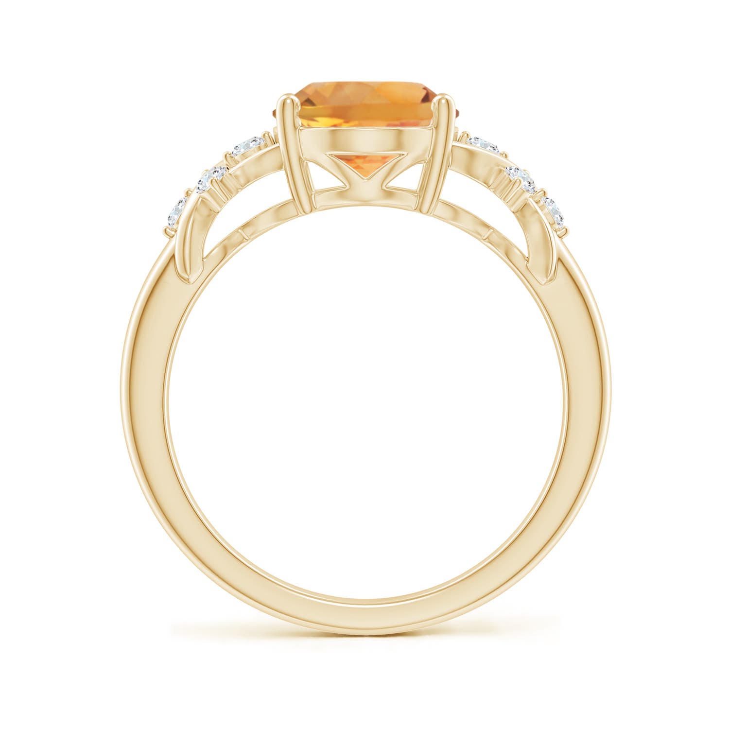 AA - Citrine / 2.67 CT / 14 KT Yellow Gold